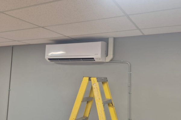 WhatsApp Image 2025-11-19 at 5.46.35 AM WhatsApp Image 2025-11-19 at 5.46.35 AM